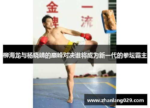 柳海龙与杨晓靖的巅峰对决谁将成为新一代的拳坛霸主